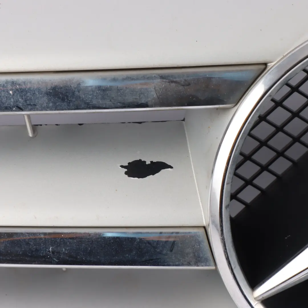 Front Hood Bonnet Radiator Grille Beam Trim Panel Silver Chrome to Mercedes W245 with Part number A1698802183 Mercedes W245 Front Hood Bonnet Radiator Grille Beam Trim Panel Silver Chrome - SKU A1698802183-1 - Part number A1698802183