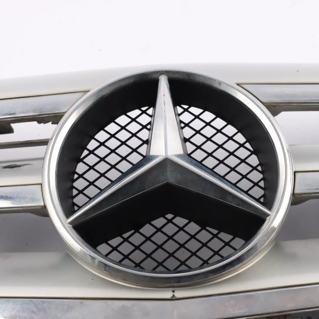 Mercedes W245 Front Hood Bonnet Radiator Grille Beam Trim Panel Silver Chrome - SKU A1698802183-1 - Part number A1698802183