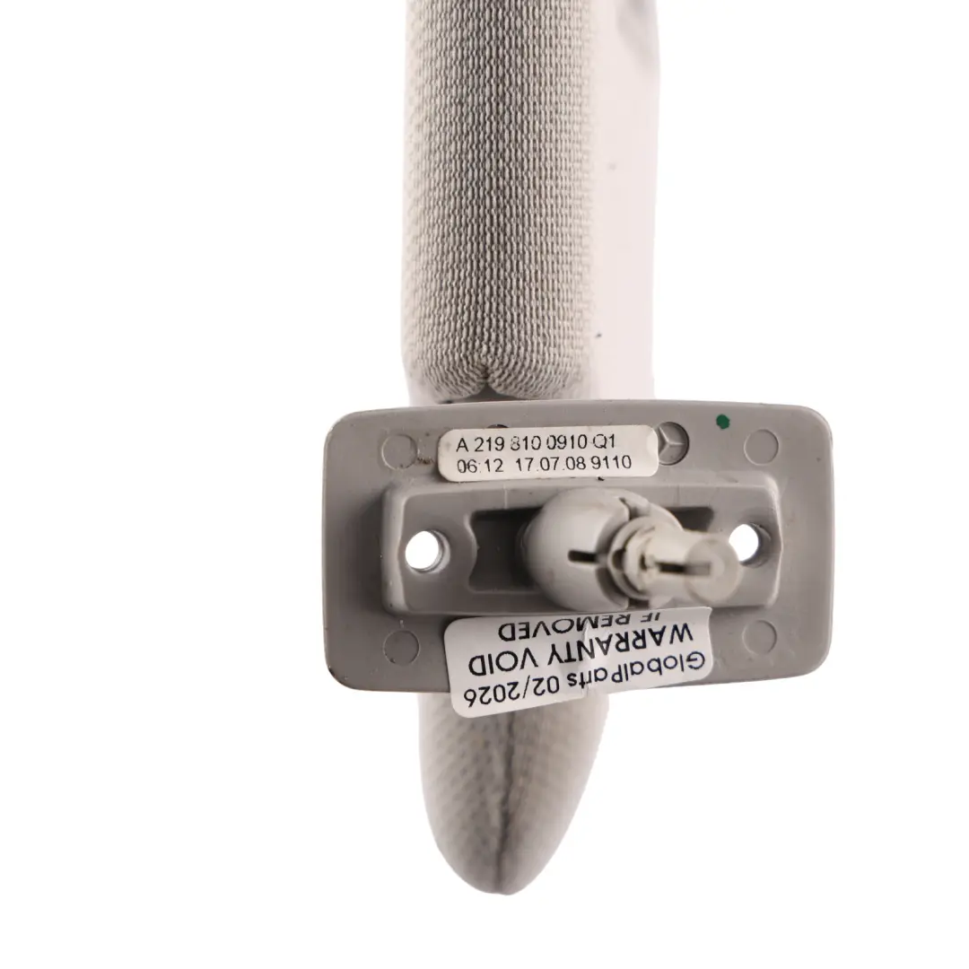 Mercedes CLS C219 Sun Visor Cover Left N/S Trim Panel Sunvisor Beige - SKU A2198100110-2 - Part number A2198100110