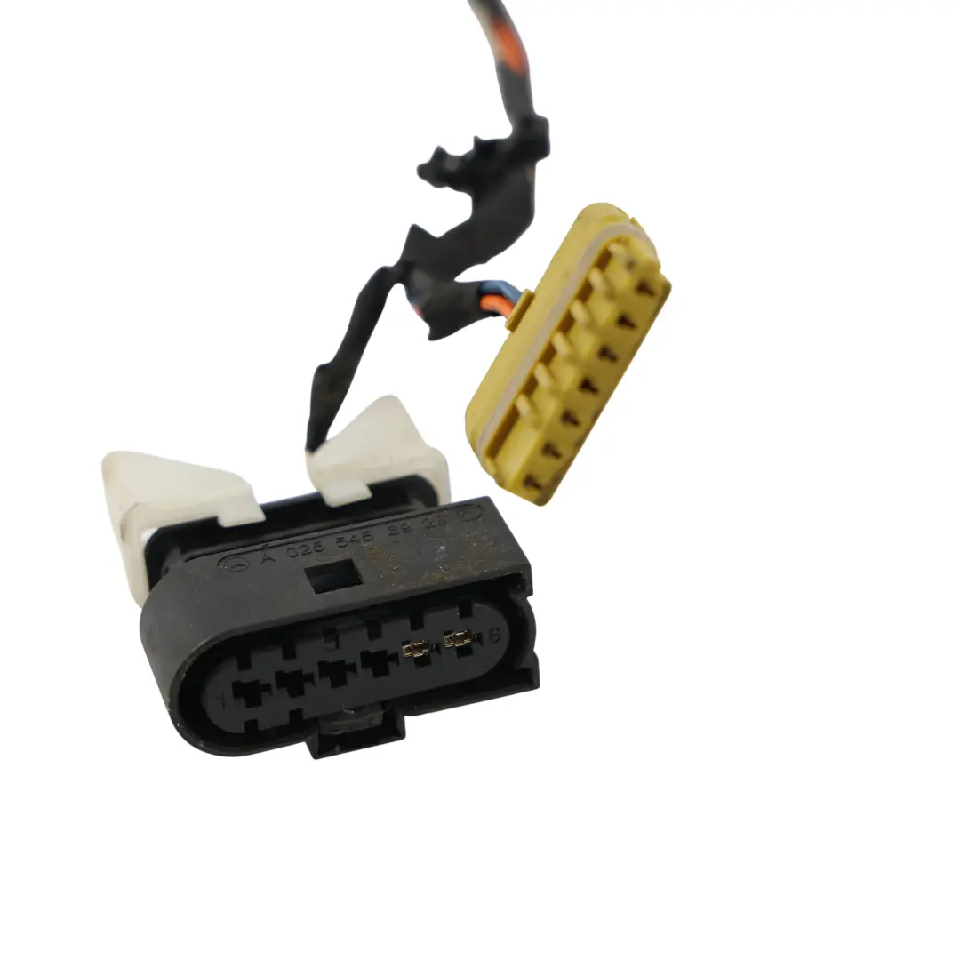 Door Wire Harness Loom Wiring Front Left N/S Passenger to Mercedes W221 with Part number A2214406410 Mercedes W221 Door Wire Harness Loom Wiring Front Left N/S Passenger - SKU RHD-A2214406410 - Part number A2214406410