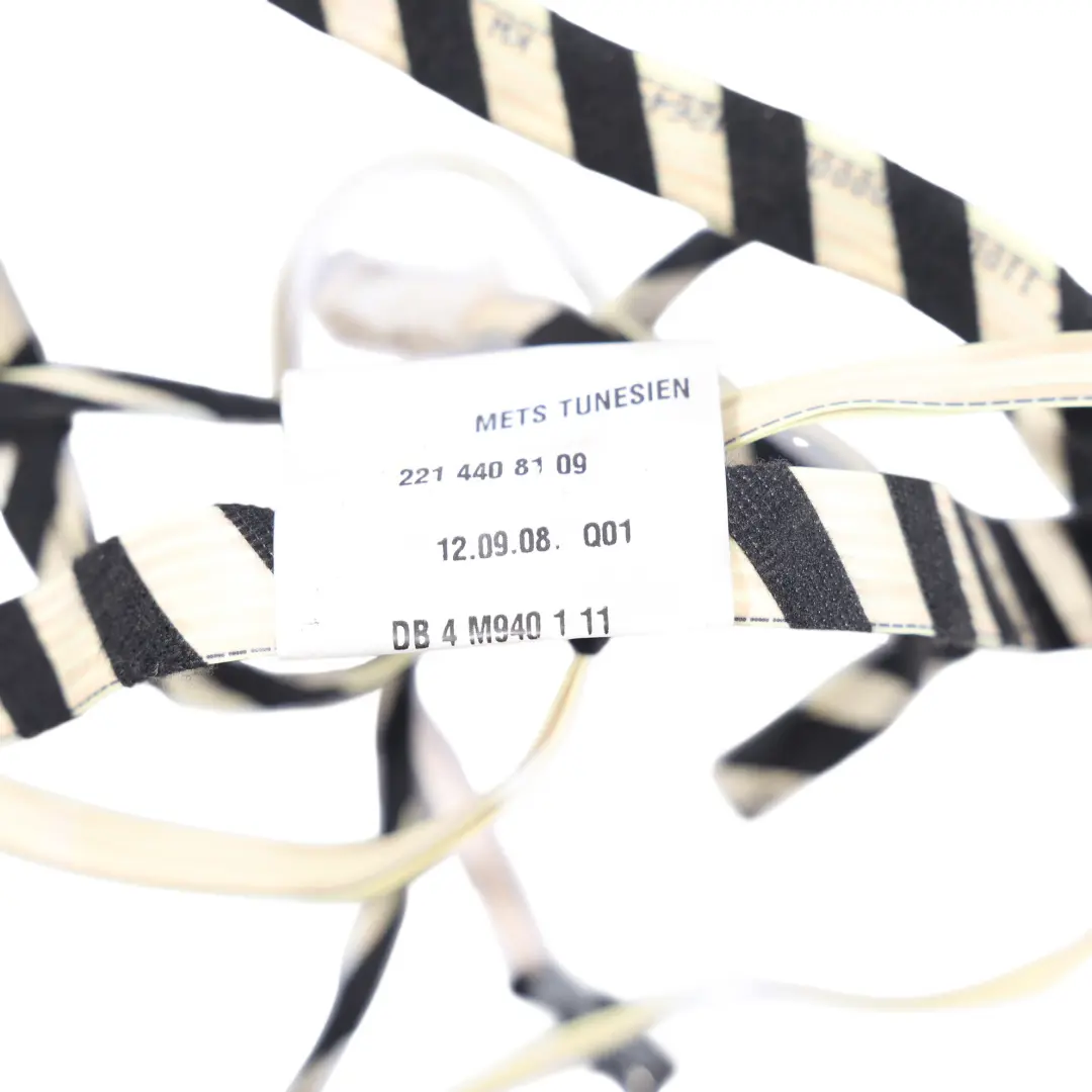 Mercedes W221 Tür Verkabelung Kabelbaum Loom Hinten Links - SKU A2214408109 - Teilenummer A2214408109