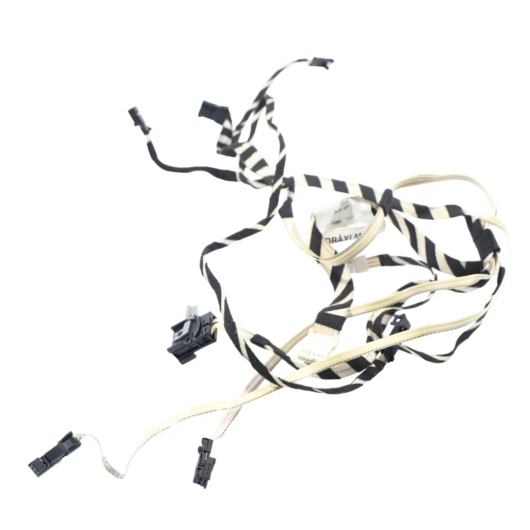 Mercedes W221 Puerta Cableado Arnés Loom Trasero Izquierdo - SKU A2214408109 - Número de pieza A2214408109