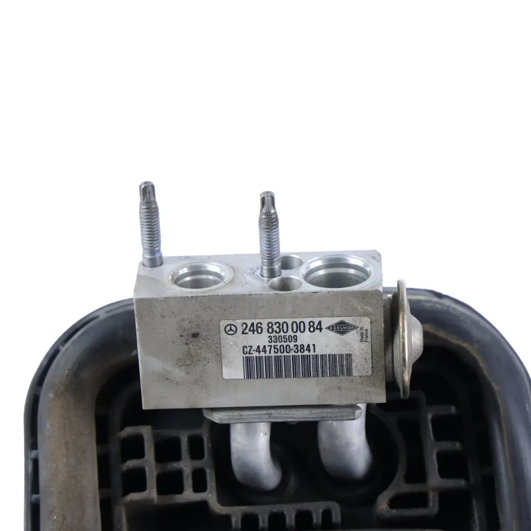 Conditioning A/C Heater Matrix Evaporator to Mercedes W176 W246 Air with Part number A2468300161 Mercedes W176 W246 Air Conditioning A/C Heater Matrix Evaporator - SKU A2468300161-1 - Part number A2468300161