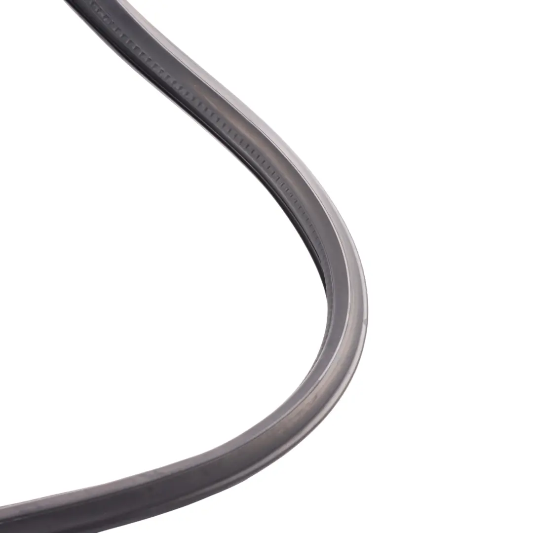 Smart Fortwo A451 Convertible Folding Roof Seal Gasket Left N/S - SKU A4516910198 - Part number A4516910198