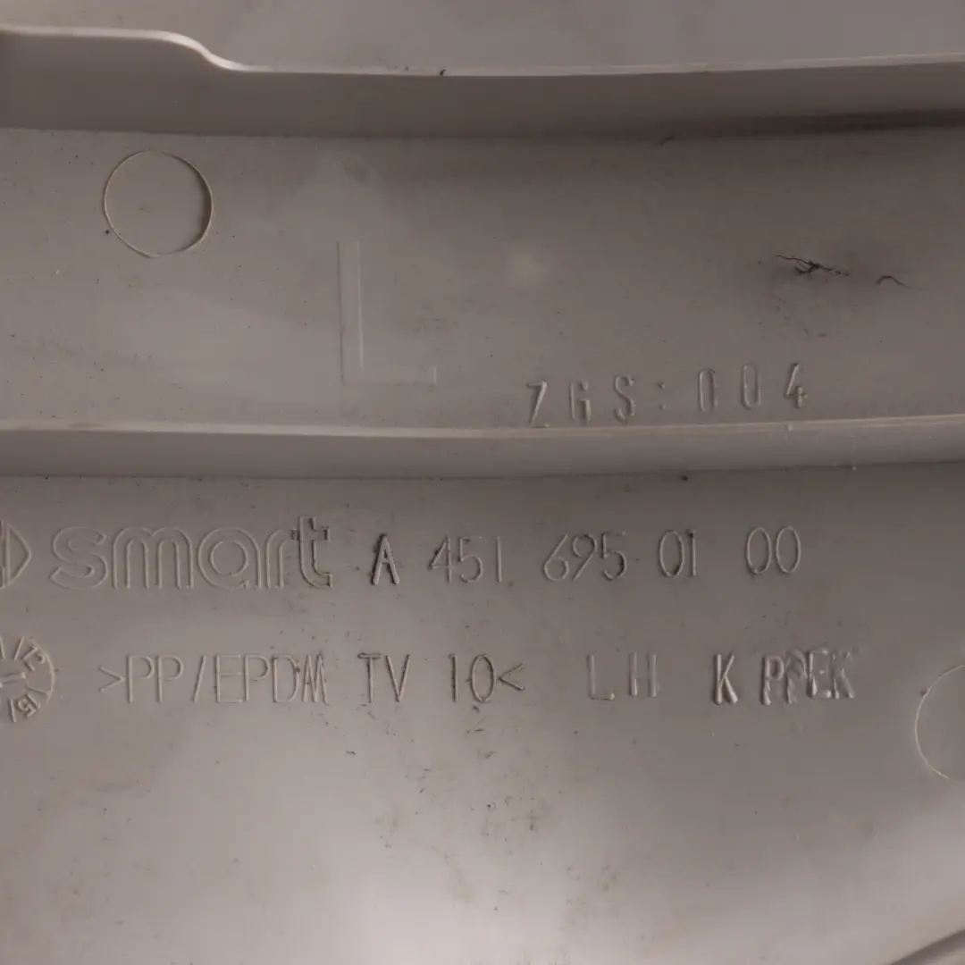 Smart C451 Plastic Trim Cover Panel Roof Ceiling Rear Left N/S - SKU A4516950100 - Part number A4516950100