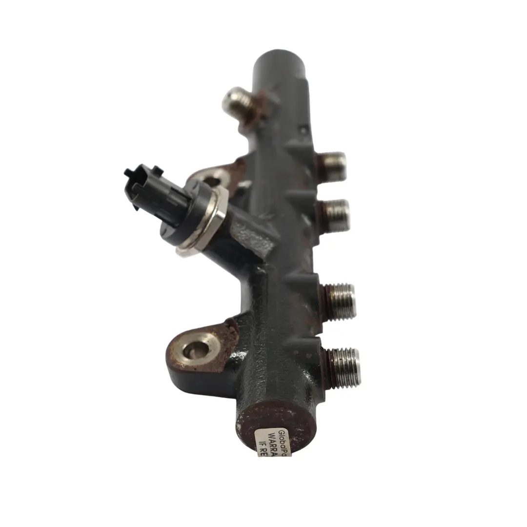 Mercedes W415 Distribuidor Combustible Riel Inyectores Diésel 607951 175215346R - SKU A6070700295 - Número de pieza A6070700295