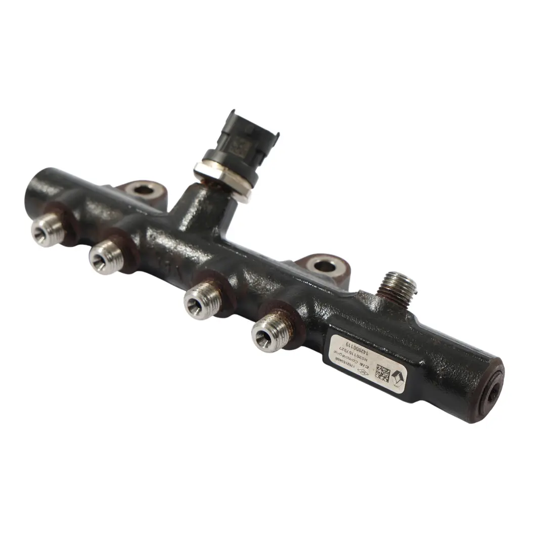 Mercedes W415 Distribuidor Combustible Riel Inyectores Diésel 607951 175215346R - SKU A6070700295 - Número de pieza A6070700295