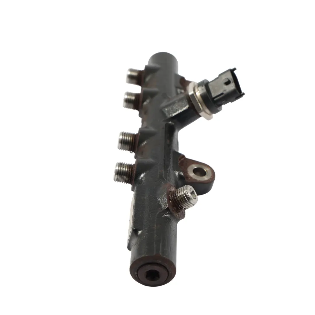 Kraftstoffverteiler Einspritzleiste Diesel 607951 175215346R für Mercedes W415 mit Teilenummer A6070700295 Mercedes W415 Kraftstoffverteiler Einspritzleiste Diesel 607951 175215346R - SKU A6070700295 - Teilenummer A6070700295