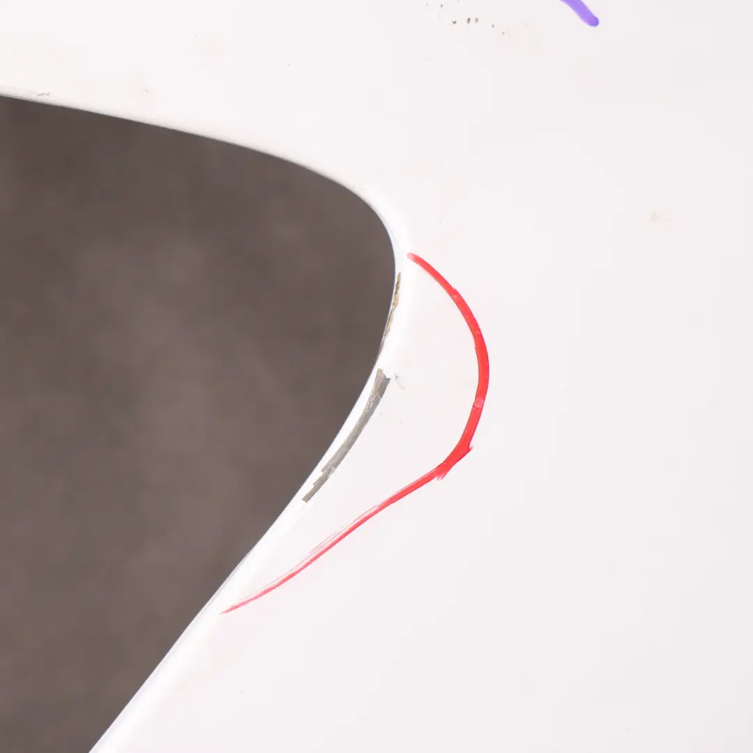 Pannello Ala sinistra Parafango Arctic White - 9147 per Mercedes Sprinter W906 con numero di parte A9066377719 Mercedes Sprinter W906 Pannello Ala sinistra Parafango Arctic White - 9147 - SKU A9066377719-ARW1 - Numero di parte A9066377719