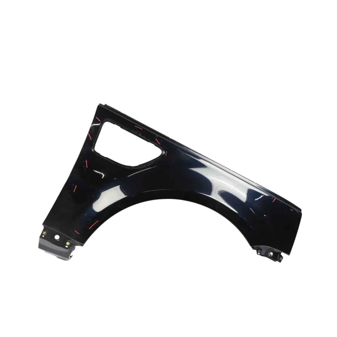 Range Rover Sport L320 Wing Panel Right O/S Side Fender Buckingham Blue 796 - SKU ASB790020-BUB - Part number ASB790020
