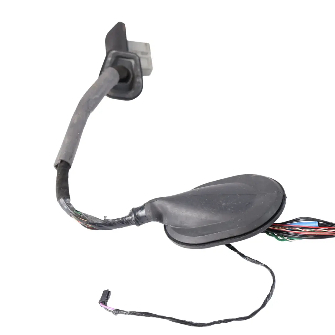 Land Rover Discovery 4 L319 Faisceau Câblage Porte Arrière Gauche - SKU BH22-14633-CA - Numéro de pièce BH22-14633-CA