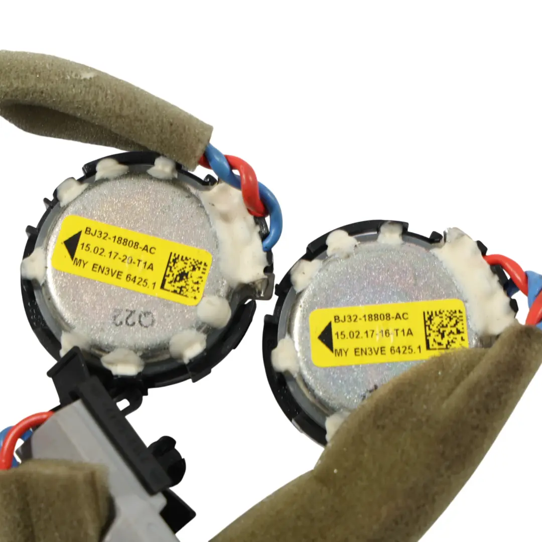 Door Speaker Tweeter Left Right N/O/S SET to Range Rover L405 with Part number BJ32-18808-AC Range Rover L405 Door Speaker Tweeter Left Right N/O/S SET - SKU BJ32-18808-AC-1 - Part number BJ32-18808-AC