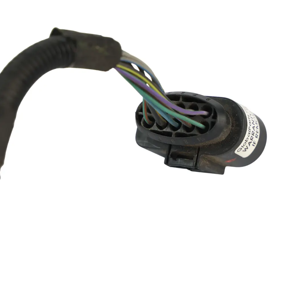 Ford Transit Mk8 Câblage Du Phare Halogène Avant Gauche - SKU BK31-13W030-B-2 - Numéro de pièce BK31-13W030-B