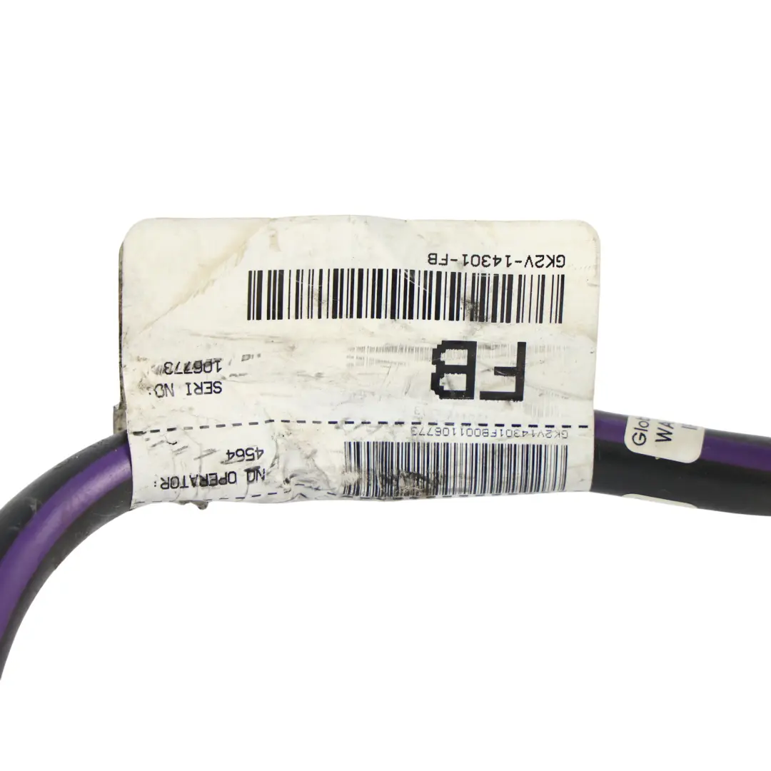 Ford Transit Mk8 Cavo Batteria Negativo Terminale Filo - SKU GK2V-14301-FB - Numero di parte GK2V-14301-FB