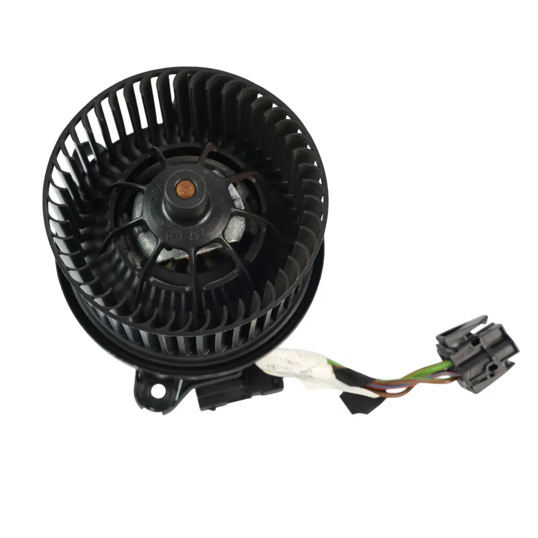 Land Rover Range Rover L322 Riscaldatore Motore Soffiante 3.6 V8 - SKU JNB500011-1 - Numero di parte JNB500011