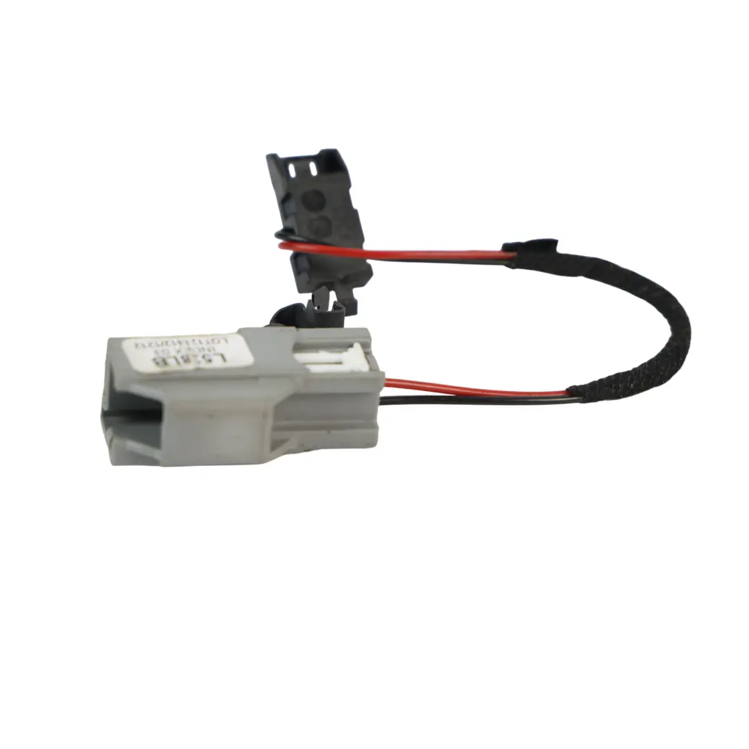 Land Rover Discovery Sport L550 Innenraum Tür Griff Lampe - SKU L538LB - Teilenummer L538LB