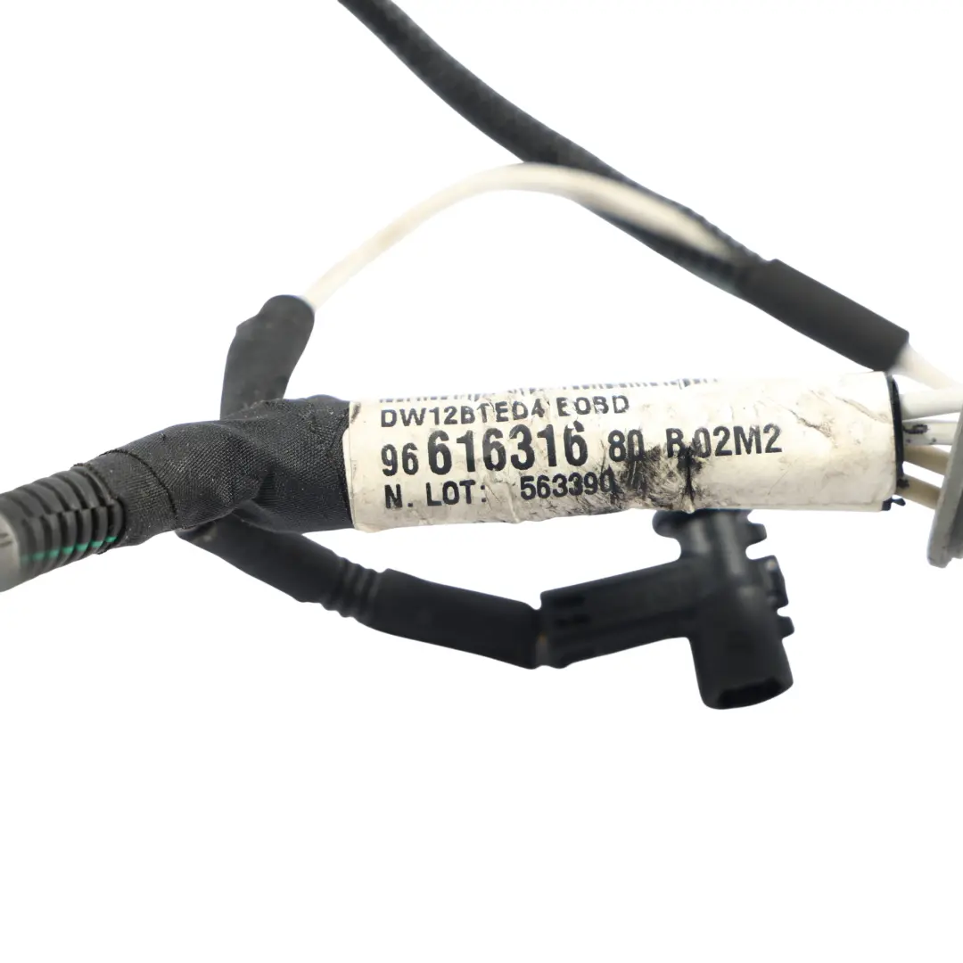 Glow Plug Wiring Loom Harness Cable Diesel 9661631680 to Land Rover Freelander L359 with Part number LR001303 Land Rover Freelander L359 Glow Plug Wiring Loom Harness Cable Diesel 9661631680 - SKU LR001303 - Part number LR001303