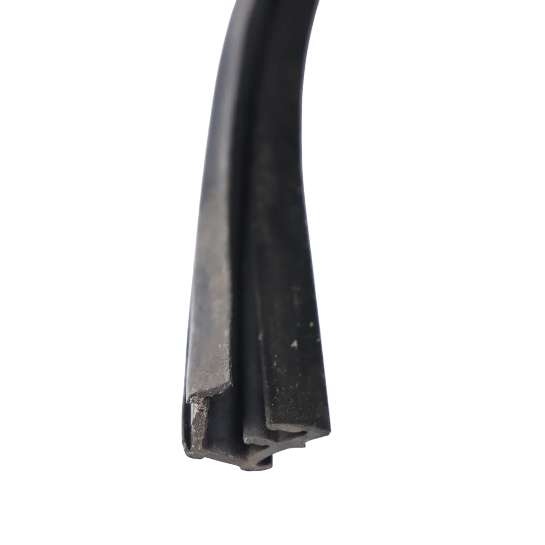 Land Rover L359 Fensterführung Dichtung Dichtung Tür Hinten Rechts 6H52-21510-BF - SKU LR007493 - Teilenummer LR007493