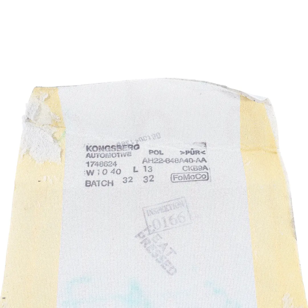 Vordersitz Heizmatte Links Rechts AH22648A40AA für Land Rover Discovery 4 L319 mit Teilenummer LR013782 Land Rover Discovery 4 L319 Vordersitz Heizmatte Links Rechts AH22648A40AA - SKU LR013782 - Teilenummer LR013782