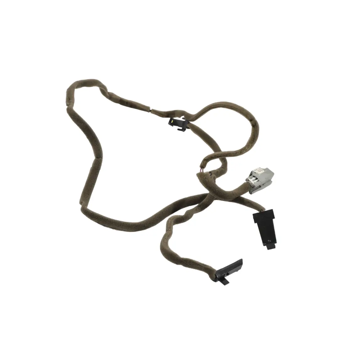 Land Rover Discovery 4 L319 Front Door Interior Ambient Light Wiring - SKU LR096463 - Part number LR096463