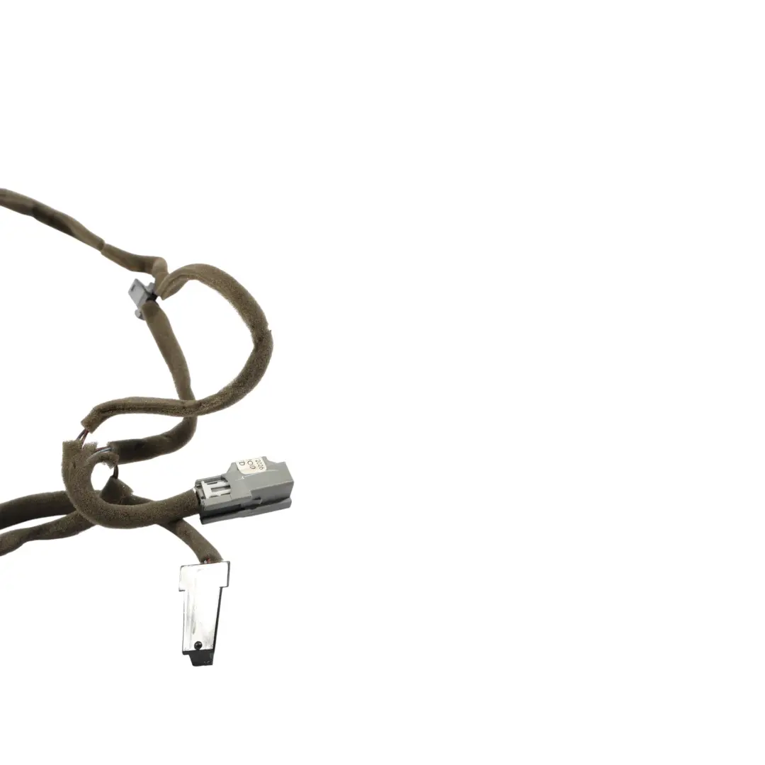 Land Rover Discovery 4 L319 Front Door Interior Ambient Light Wiring - SKU LR096463 - Part number LR096463