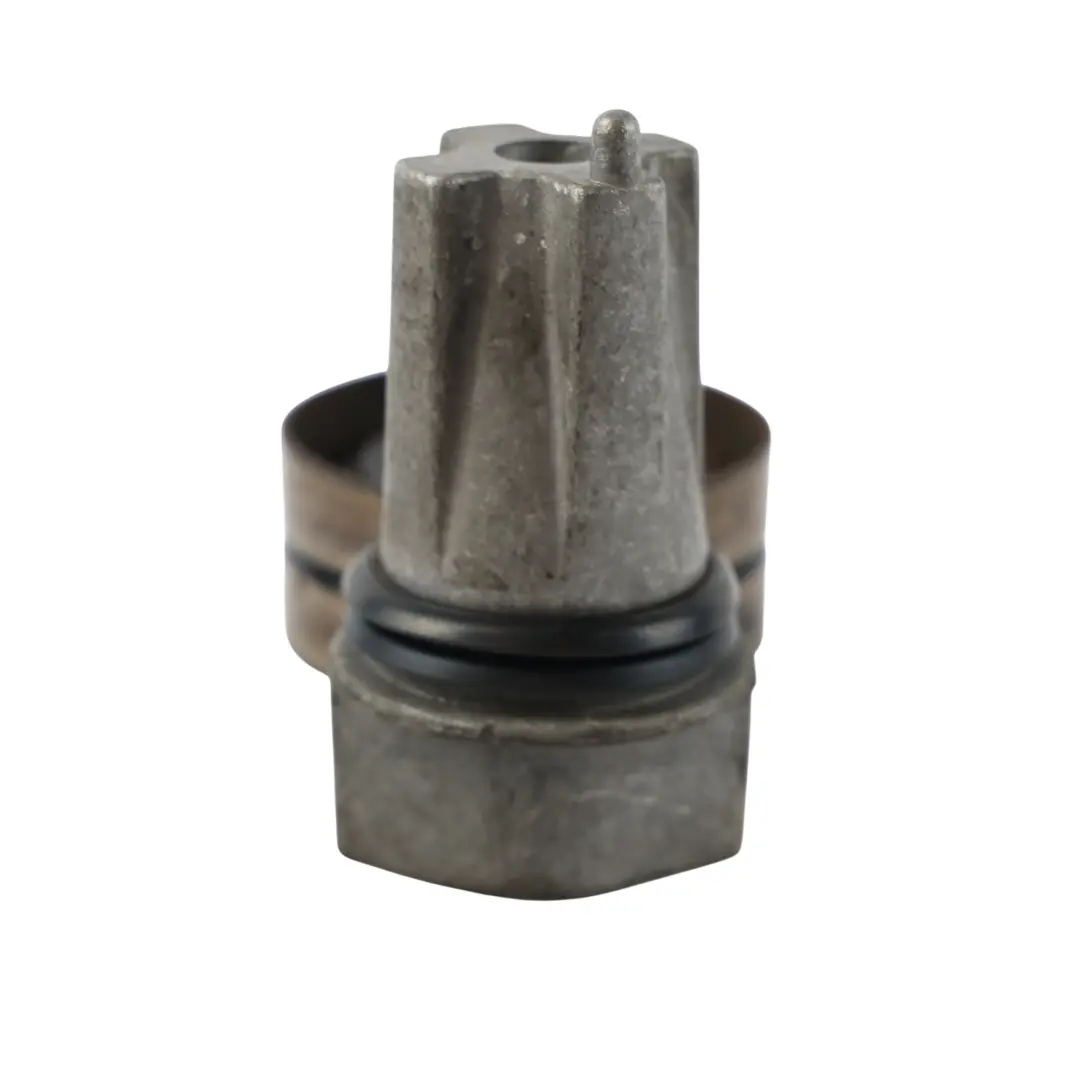 Puleggia Tendicinghia 2.7 V6 LION per Land Rover Range Rover Sport L320 con numero di parte PQH500060 Land Rover Range Rover Sport L320 Puleggia Tendicinghia 2.7 V6 LION - SKU PQH500060 - Numero di parte PQH500060