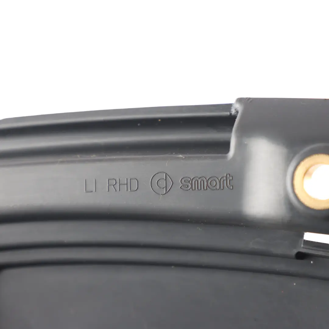 A451 Front Door Panel Pull Handle Trim Left N/S to Smart Fortwo with Part number A4517270380 Smart Fortwo A451 Front Door Panel Pull Handle Trim Left N/S - SKU RHD-A4517270380 - Part number A4517270380