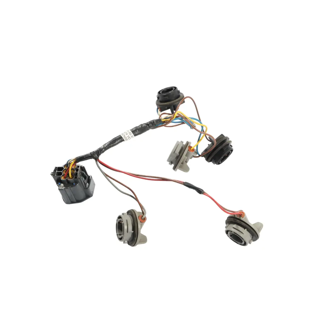 Presa Lampada Posteriore Filo Destro 5H22-14N014-AA per Land Rover Discovery 3 L319 con numero di parte YND500070 Land Rover Discovery 3 L319 Presa Lampada Posteriore Filo Destro 5H22-14N014-AA - SKU YND500070 - Numero di parte YND500070