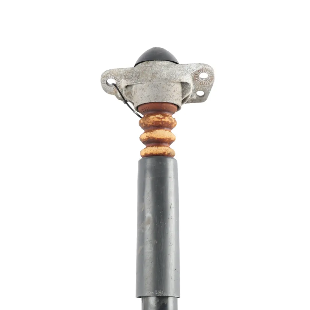 Audi A3 S3 8P Rear Shock Absorber Damper Left Right N/O/S - SKU 1K0513029NJ - Part number 1K0513029NJ