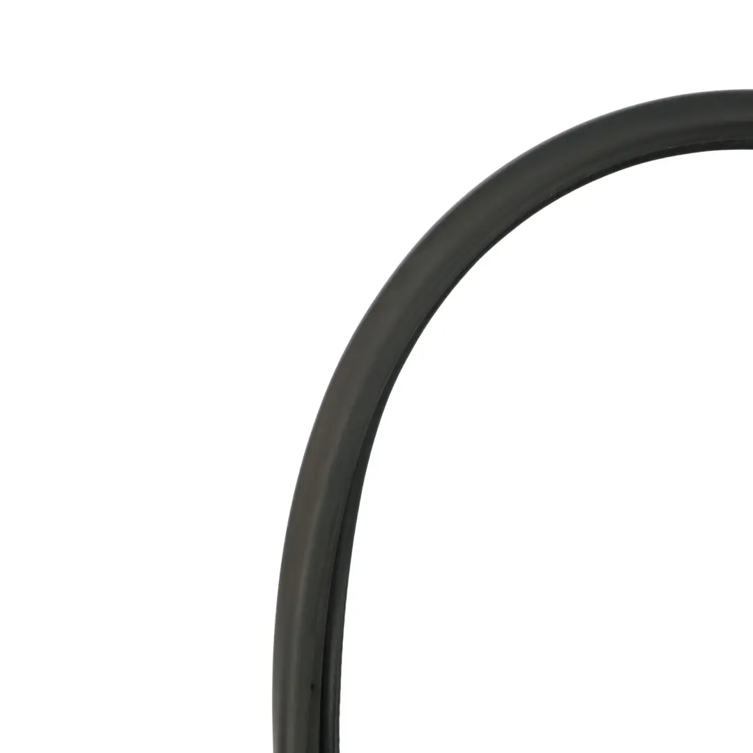 Volkswagen VW Eos Guarnizione Interna Porta Anteriore Sinistra - SKU 1Q0867911B - Numero di parte 1Q0867911B