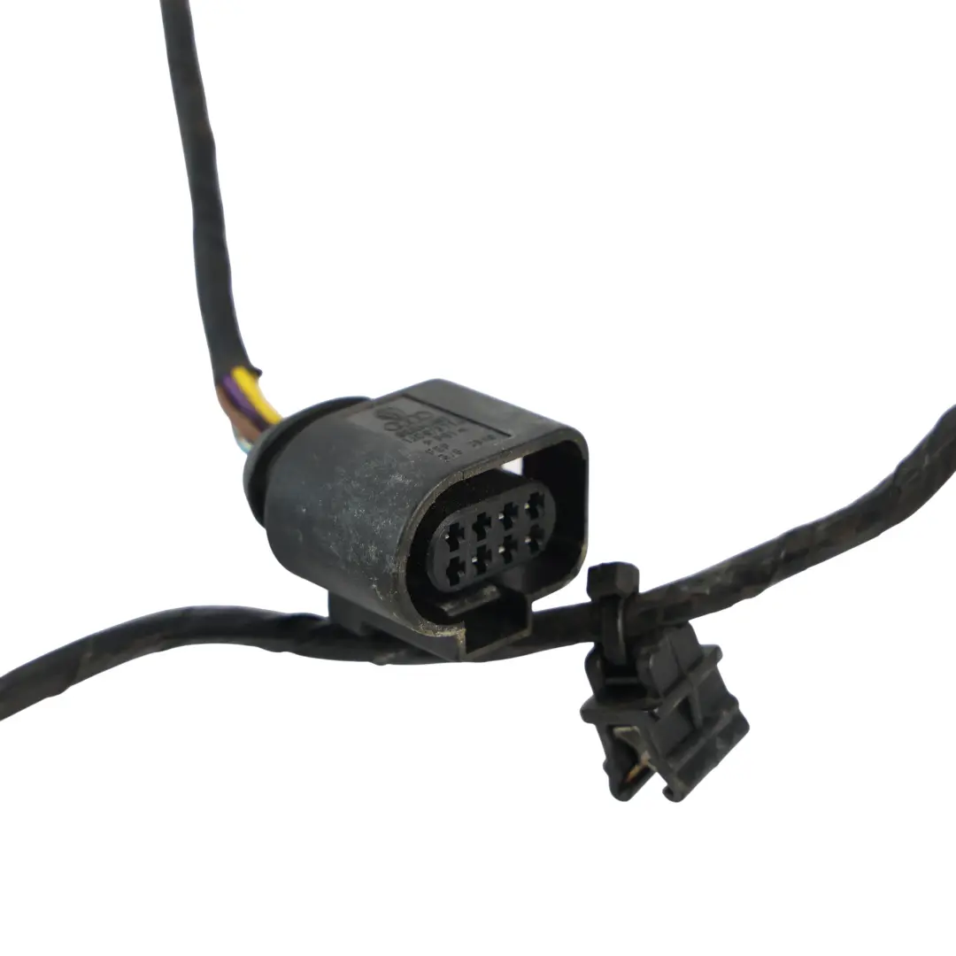 1F Cablaggio Porta Lato Passeggero per Volkswagen Eos con numero di parte 1Q0971121B Volkswagen Eos 1F Cablaggio Porta Lato Passeggero - SKU 1Q0971121B - Numero di parte 1Q0971121B