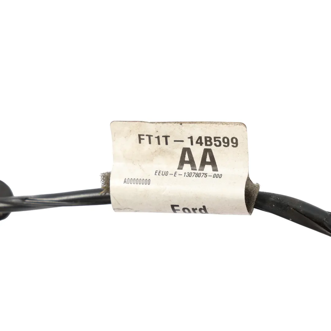 Arnés Cableado Luz Interior Techo FT1T-14B599-AA para Ford Transit Connect con número de pieza 2040575 Ford Transit Connect Arnés Cableado Luz Interior Techo FT1T-14B599-AA - SKU 2040575 - Número de pieza 2040575