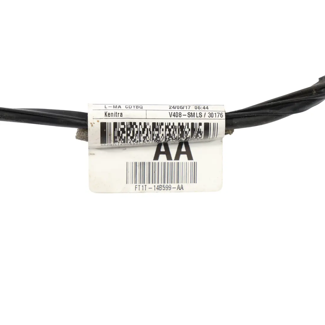 Ford Transit Connect Faisceau Câblage Plafonnier Intérieur FT1T-14B599-AA - SKU 2040575 - Numéro de pièce 2040575