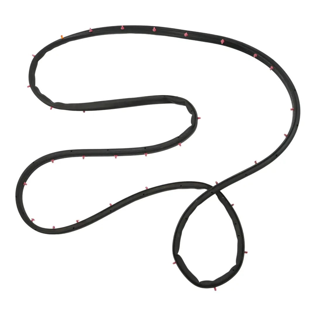 MK5 Türdichtung Vorne Links DS73-F20531-BB für Ford Mondeo mit Teilenummer 2441533 Ford Mondeo MK5 Türdichtung Vorne Links DS73-F20531-BB - SKU 2441533 - Teilenummer 2441533