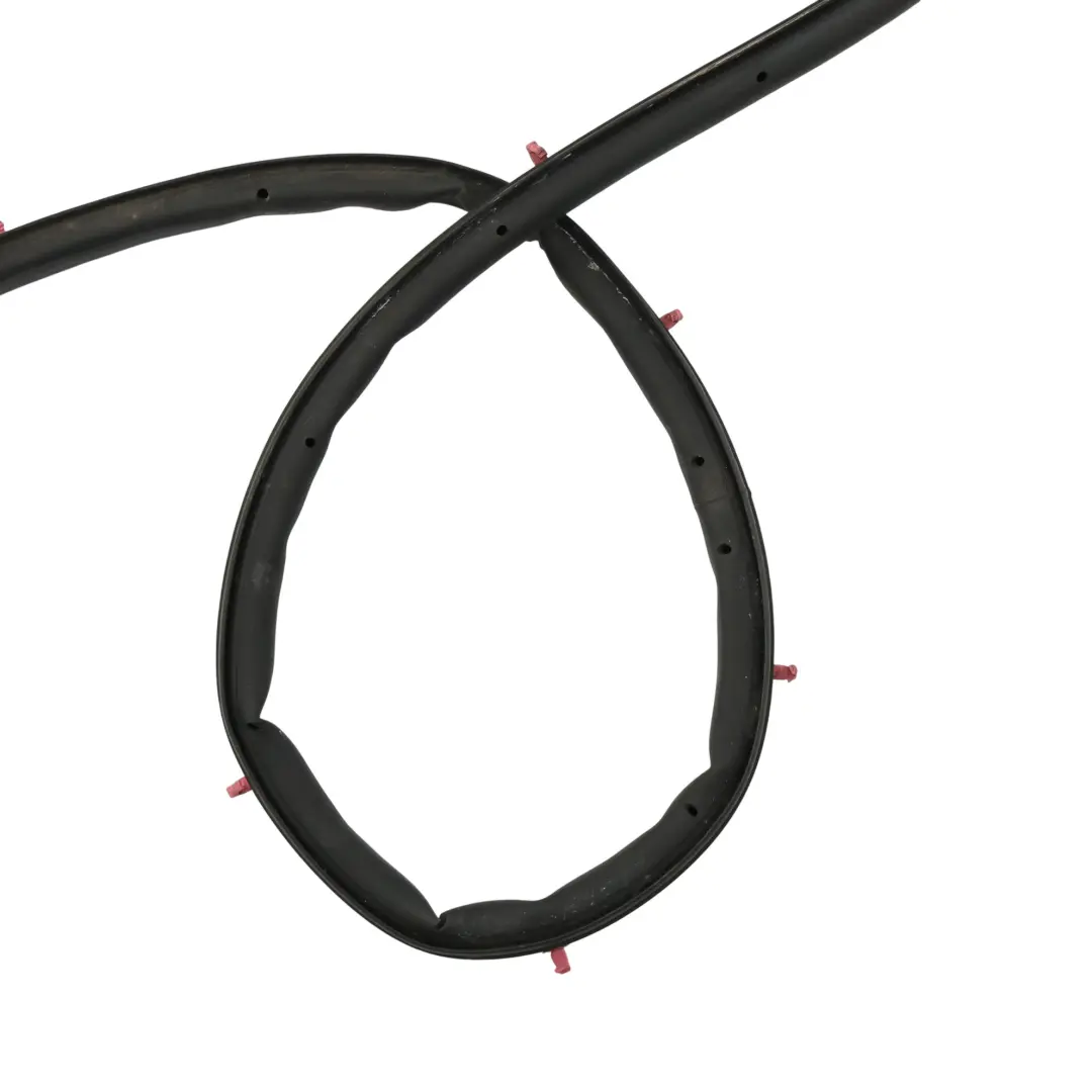 MK5 Junta Puerta Delantera Izquierda DS73-F20531-BB para Ford Mondeo con número de pieza 2441533 Ford Mondeo MK5 Junta Puerta Delantera Izquierda DS73-F20531-BB - SKU 2441533 - Número de pieza 2441533