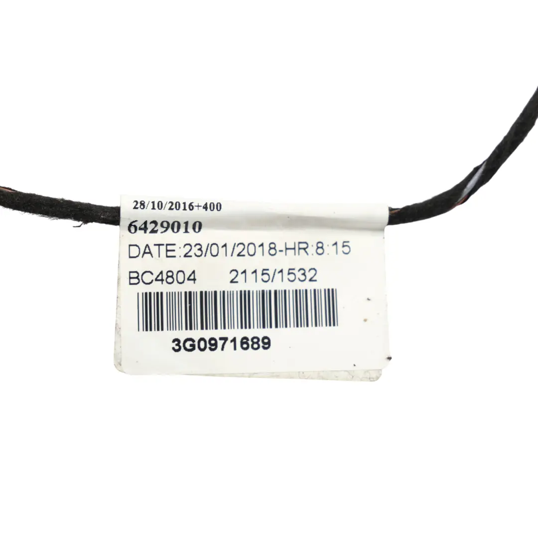 Volkswagen Passat B8 3G Door Wire Cable Harness Loom Rear Left N/S - SKU 3G0971689 - Part number 3G0971689