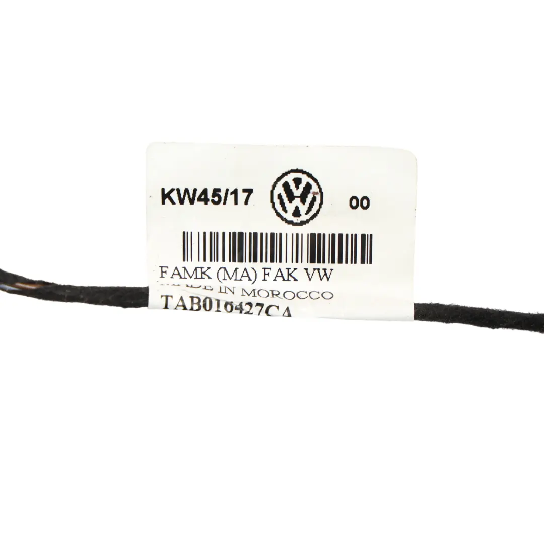 Faisceau Câblage Porte Arrière Droite pour Volkswagen Passat B8 à propos du numéro de pièce 3G0971690 Volkswagen Passat B8 Faisceau Câblage Porte Arrière Droite - SKU 3G0971690 - Numéro de pièce 3G0971690