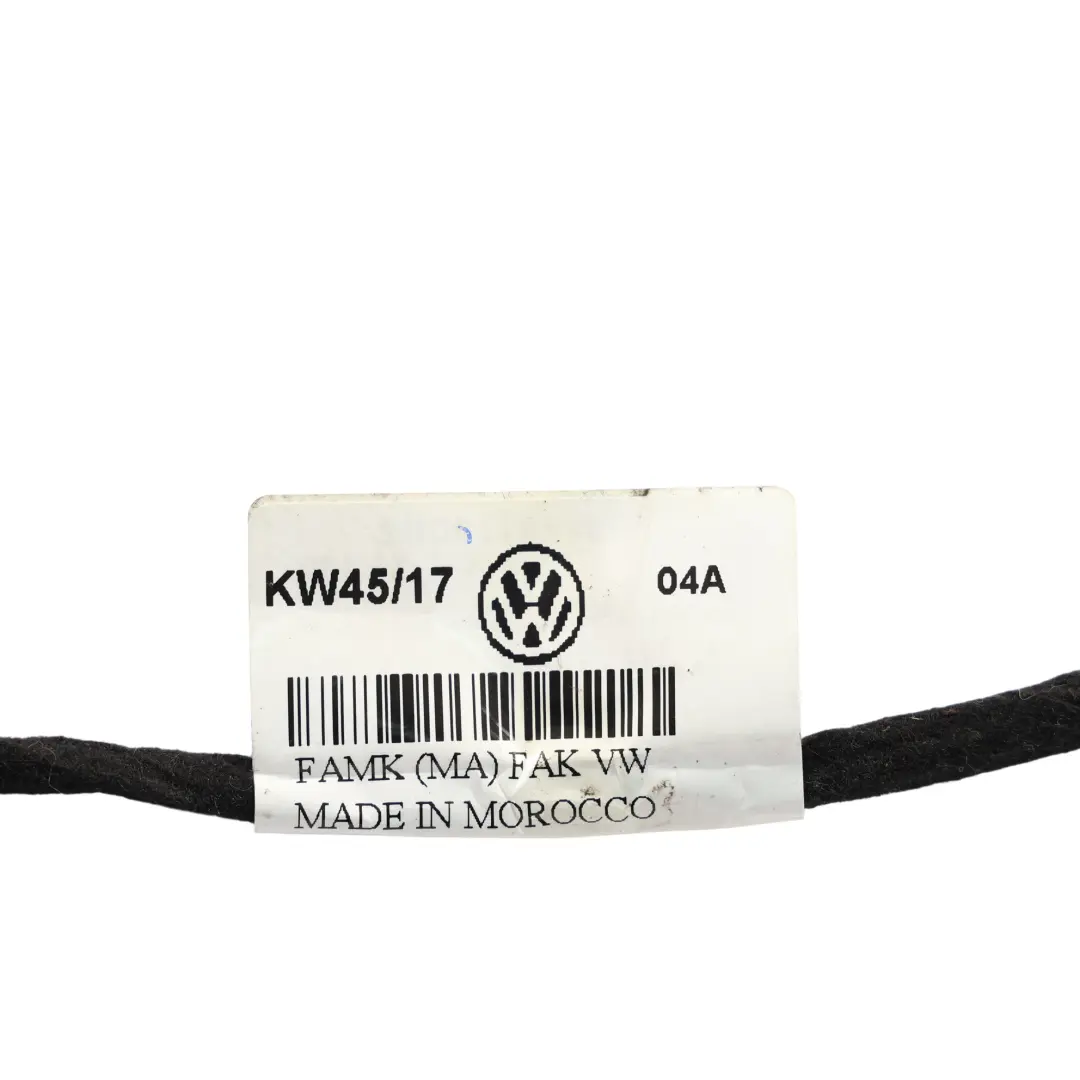 Volkswagen Passat B8 3G Kabelbaum Tür Hinten Rechts - SKU 3G0971694A - Teilenummer 3G0971694A