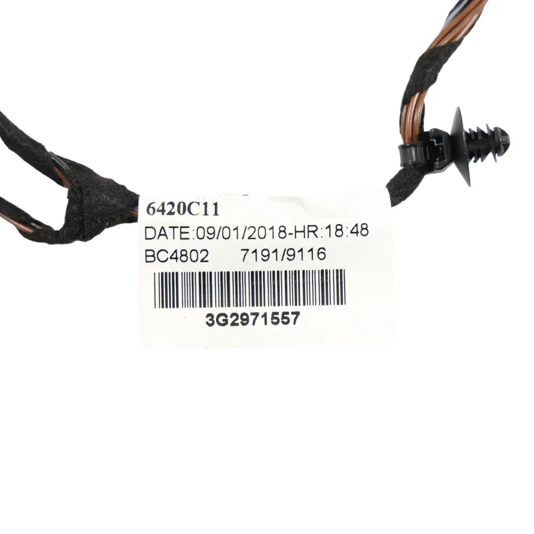 Volkswagen Passat B8 3G Door Wiring Loom Harness Cable Front Left N/S - SKU RHD-3G2971557 - Part number 3G2971557