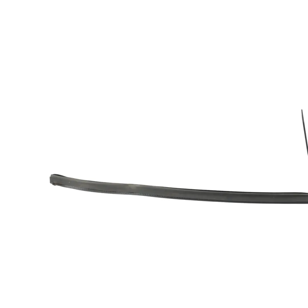 Door Side Seal Gasket Rubber Strip Right O/S to Skoda Octavia 5E Rear with Part number 5E0839718A Skoda Octavia 5E Rear Door Side Seal Gasket Rubber Strip Right O/S - SKU 5E0839718A - Part number 5E0839718A
