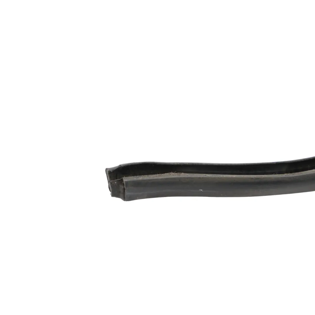 Door Side Seal Gasket Rubber Strip Right O/S to Skoda Octavia 5E Rear with Part number 5E0839718A Skoda Octavia 5E Rear Door Side Seal Gasket Rubber Strip Right O/S - SKU 5E0839718A - Part number 5E0839718A