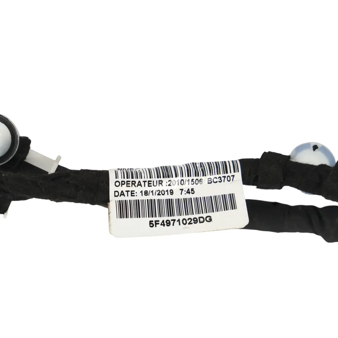 5F Cablaggio Porta Anteriore Sinistro per Seat Leon Cupra con numero di parte 5F4971029DG Seat Leon Cupra 5F Cablaggio Porta Anteriore Sinistro - SKU 5F4971029DG - Numero di parte 5F4971029DG