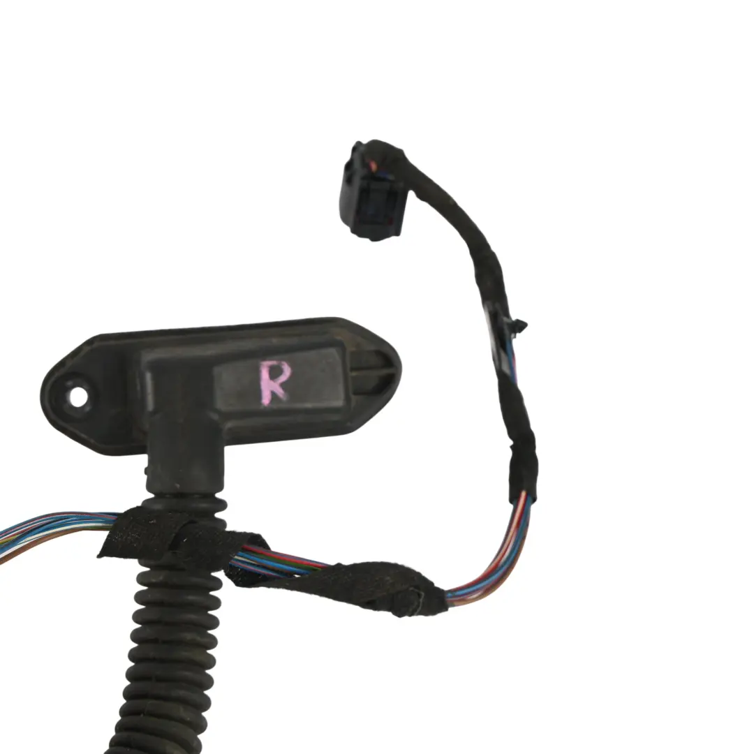 Arnés Cableado Puerta Delantera Derecha para Mini R50 R53 con número de pieza 6915574 Mini R50 R53 Arnés Cableado Puerta Delantera Derecha - SKU 6944290 - Número de pieza 6915574