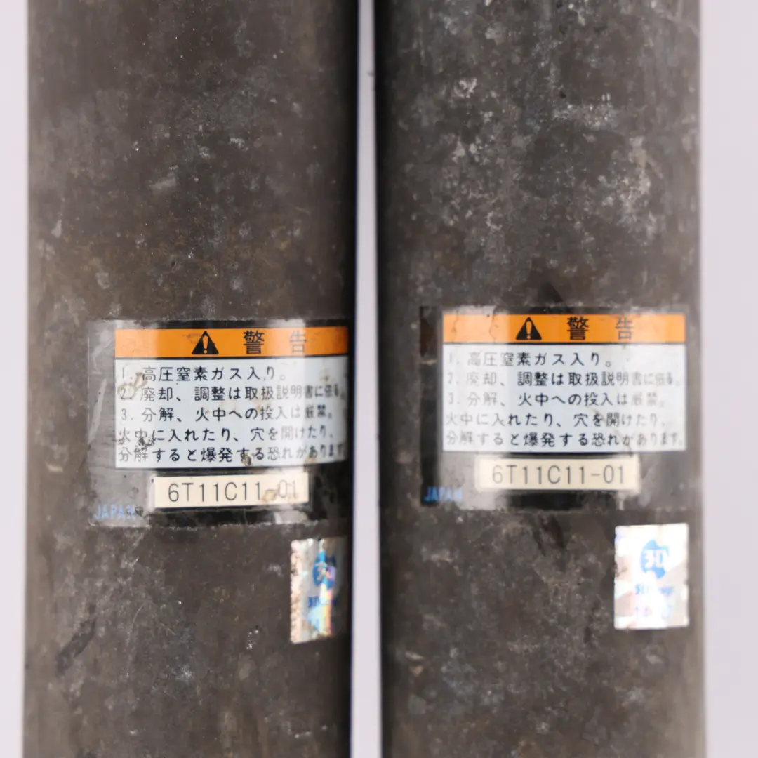 BMW E61 3D Design Japan Rear Shock Absorber Spring Strut Set - SKU 6T11C11-01 - Part number 6T11C11