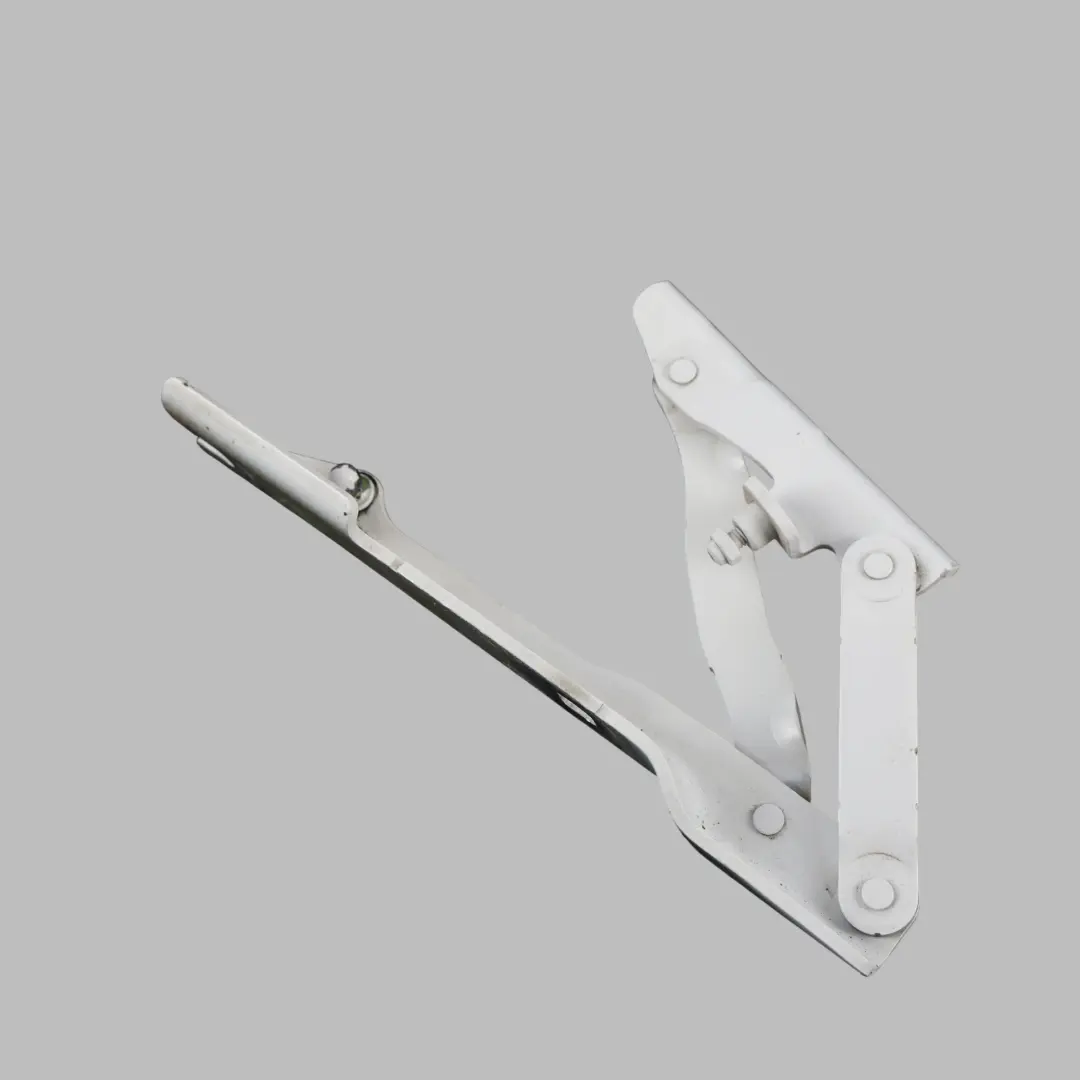 Cerniera Cofano Sinistra Bianco Alpino 3 per BMW E60 E61 LCI con numero di parte 7008727 BMW E60 E61 LCI Cerniera Cofano Sinistra Bianco Alpino 3 - SKU 7008727-AW - Numero di parte 7008727