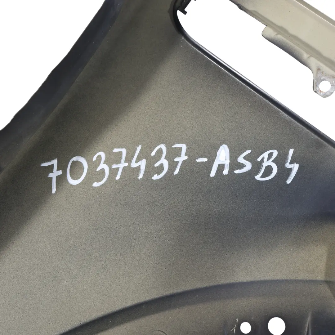 Mini R50 R52 R53 Parafango Anteriore Sinistro Nero Metallizzato Astro A25 - SKU 7037437-ASB4 - Numero di parte 7037437