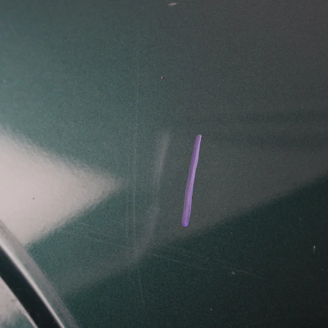  Side Panel Mini R50 R53 Front Left N/S Fender Wing British Racing Green - 895 - SKU 7037437-BRG2 - Part number 7037437