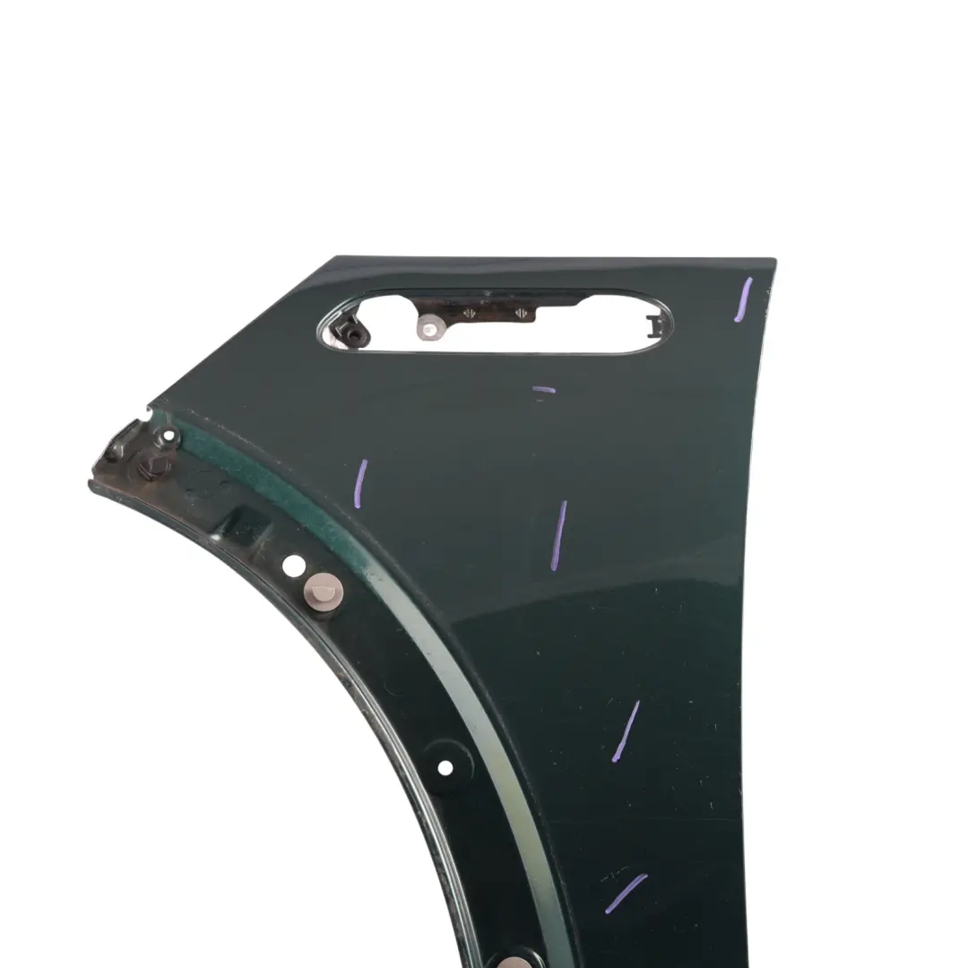  Side Panel Mini R50 R53 Front Left N/S Fender Wing British Racing Green - 895 - SKU 7037437-BRG2 - Part number 7037437