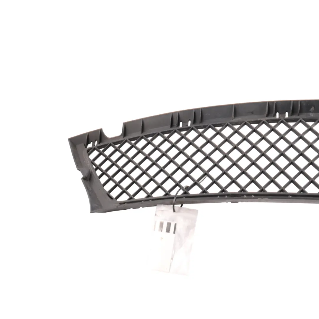 BMW E46 Front Bumper Grille Trim Cover Panel Lower Centre - SKU 7065469 - Part number 7065469