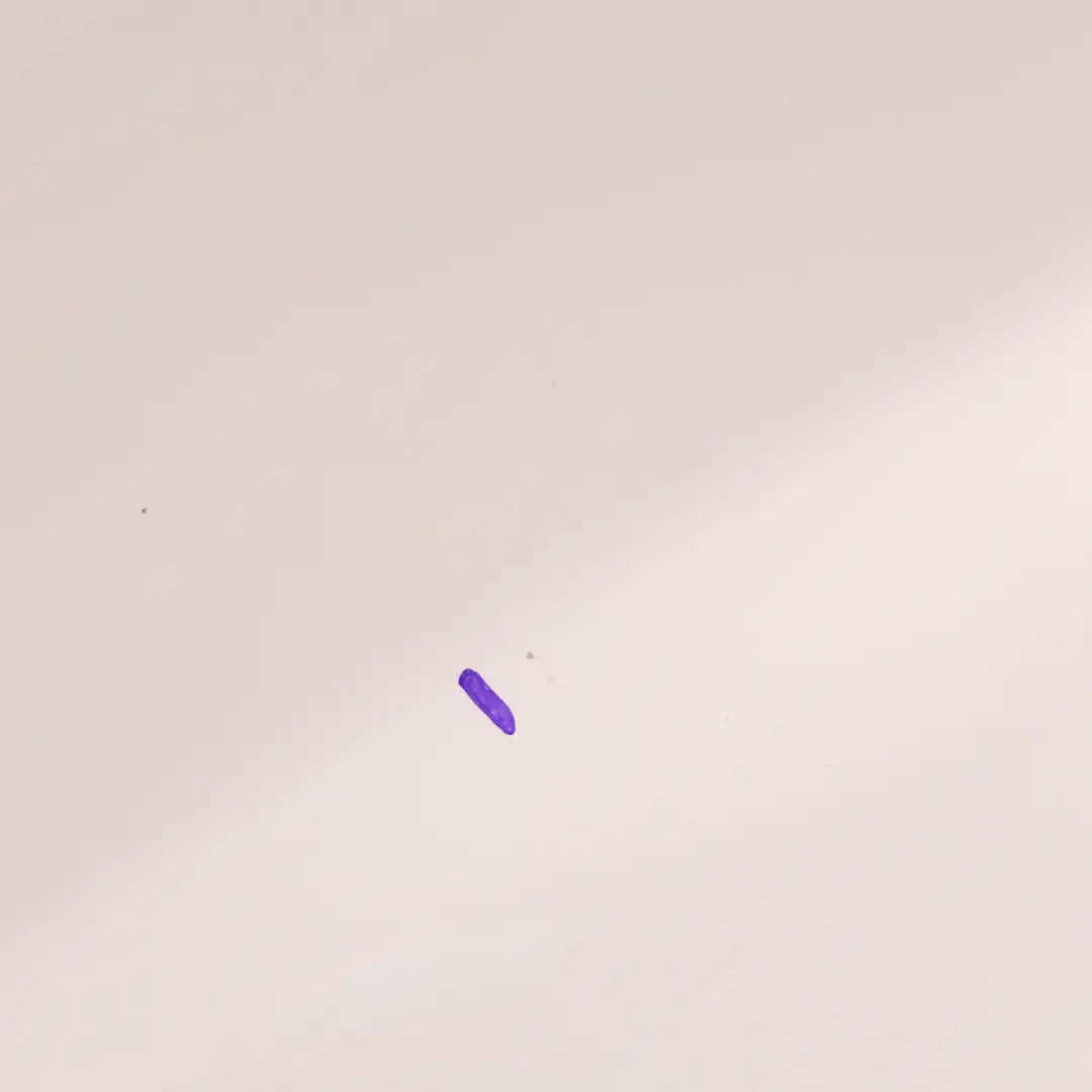 Panel Lateral Guardabarros Delantero Izquierdo Alpinweiss 3 - 300 para BMW F20 F21 con número de pieza 7284645 BMW F20 F21 Panel Lateral Guardabarros Delantero Izquierdo Alpinweiss 3 - 300 - SKU 7284645-AW3 - Número de pieza 7284645